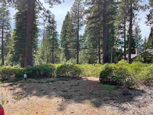 70 FOX PINE DR, WESTWOOD, CA 96137 - Image 4e984e62631903e1d49f9cd1c9680189/2711044836
