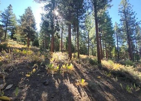 Vacant Land For Sale - 47 Blue Flax Lane Ln<br/> Portola, CA 96122