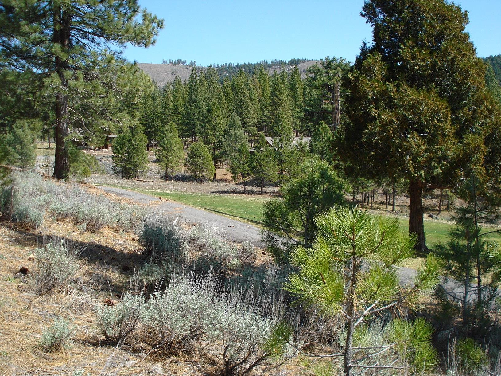 404 Blacktail Ridge, Portola, New Mexico image 4