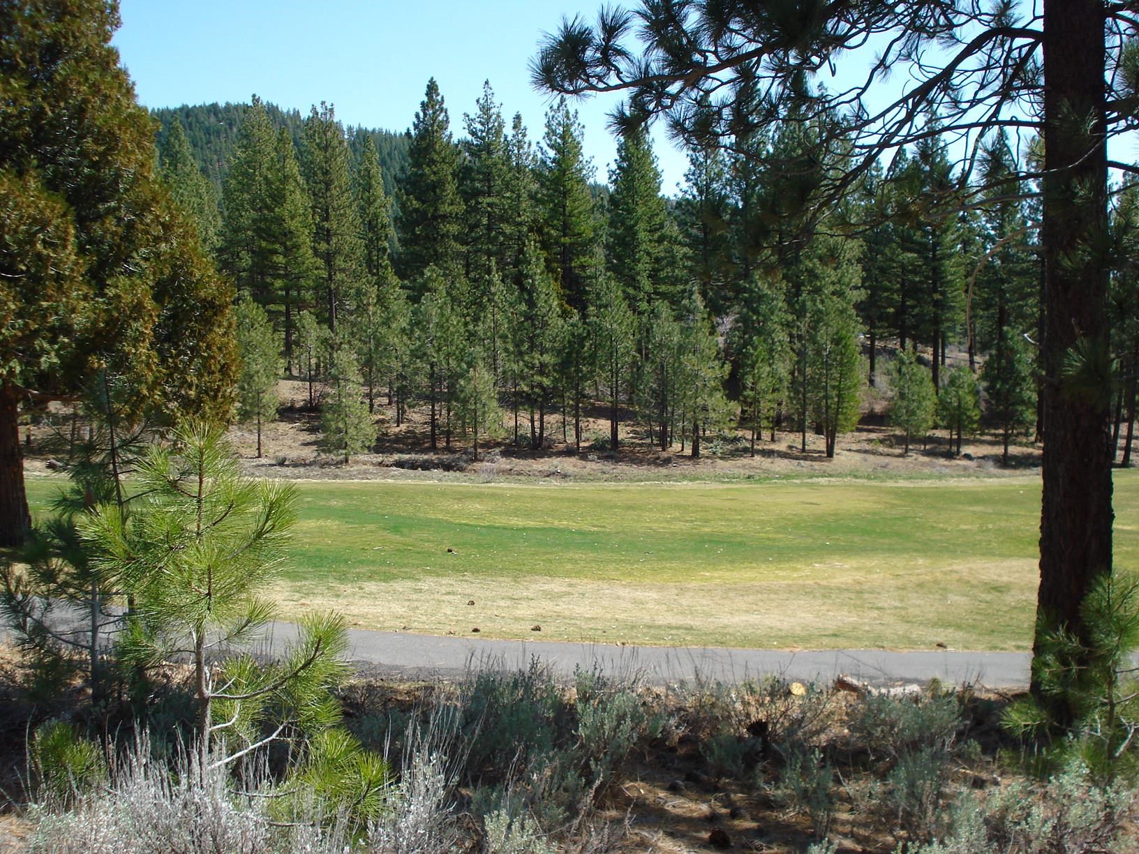 404 Blacktail Ridge, Portola, New Mexico image 3