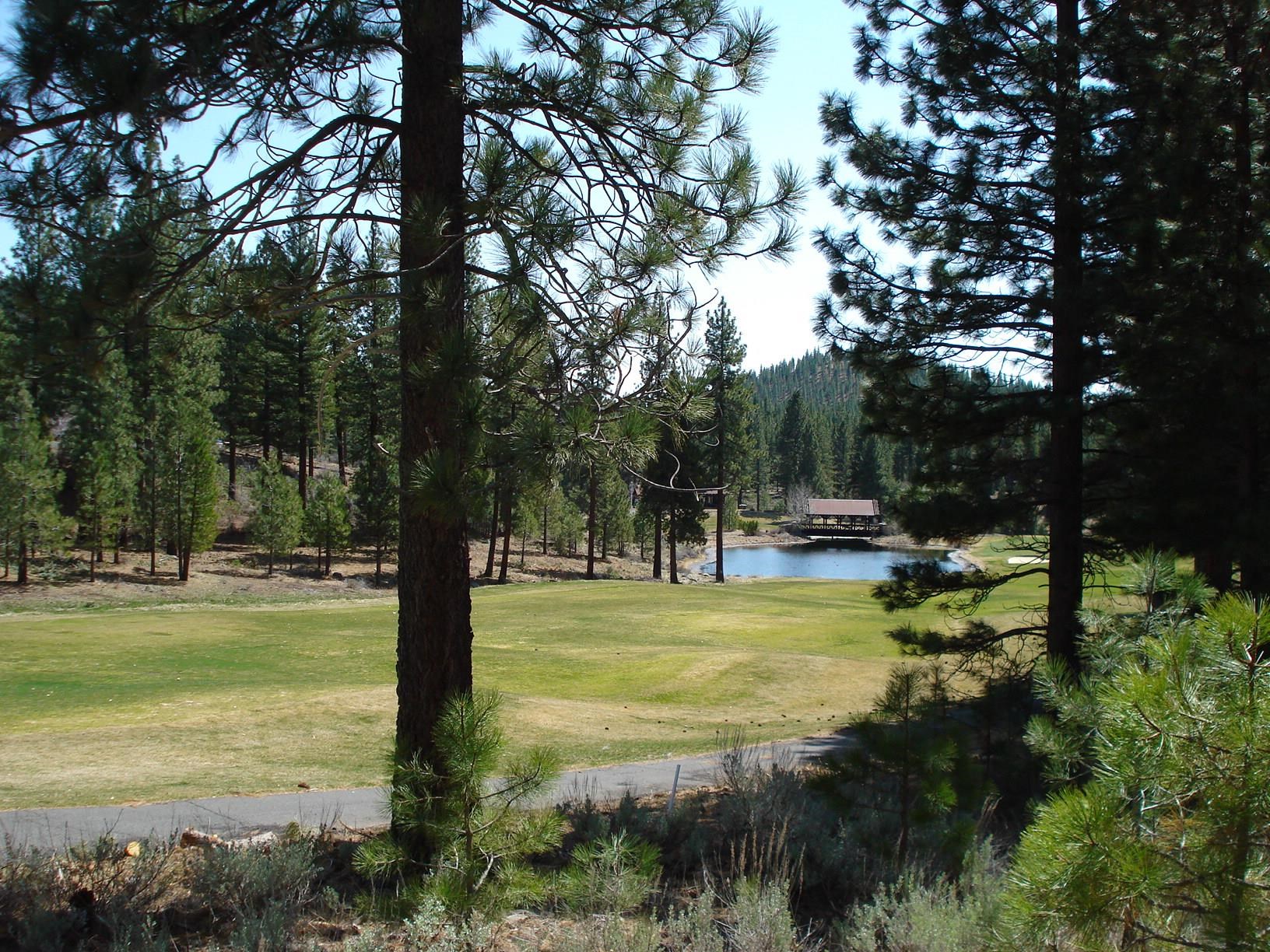 404 Blacktail Ridge, Portola, New Mexico image 2
