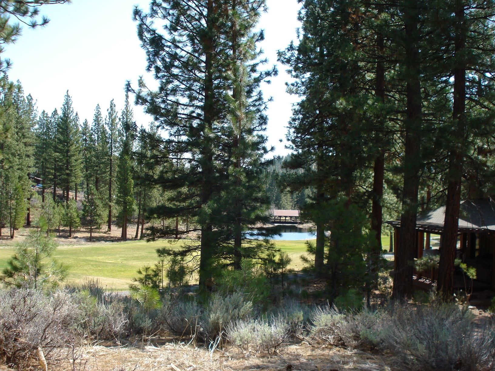 404 Blacktail Ridge, Portola, New Mexico image 7