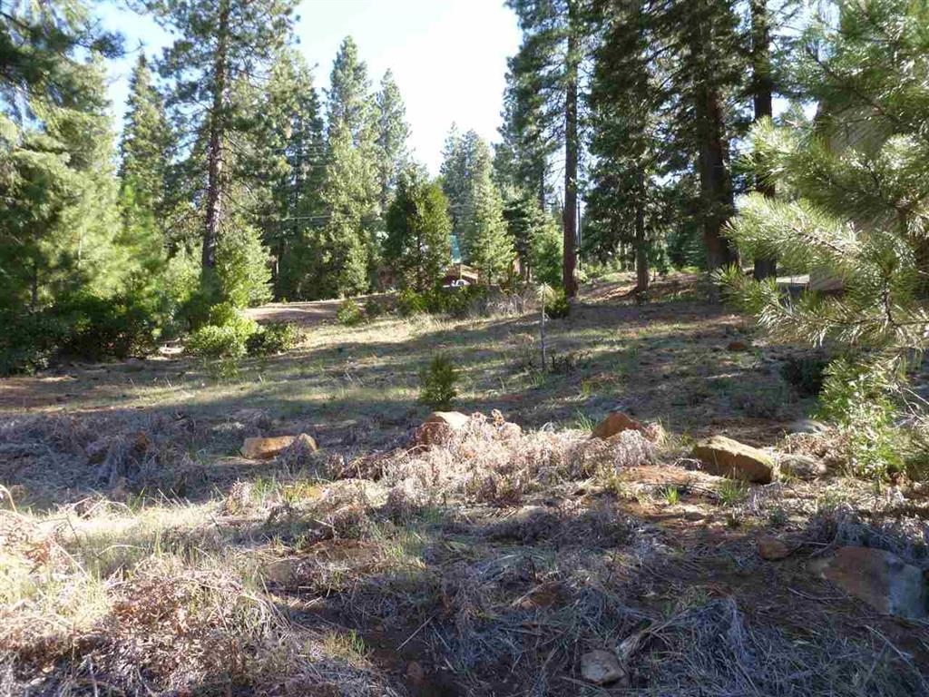 162 Peninsula Drive, Lake Almanor, California image 4