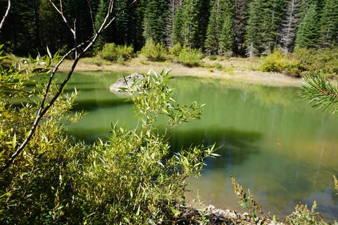 Vacant Land For Sale - 1388 Dogwood Drive Dr<br/> Bucks Lake, CA 95956