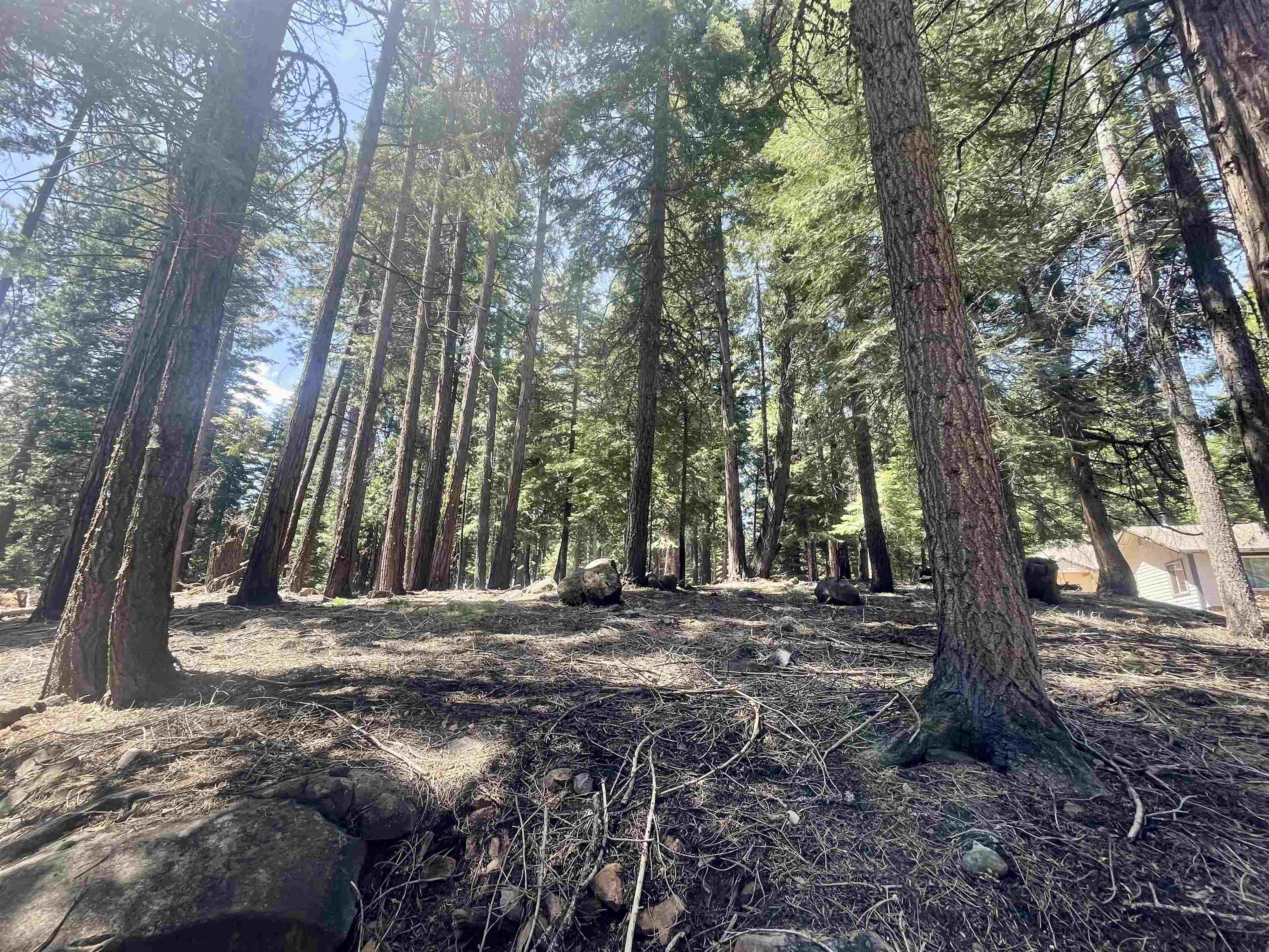 671 E Mountain Ridge Road, Lake Almanor, California image 3