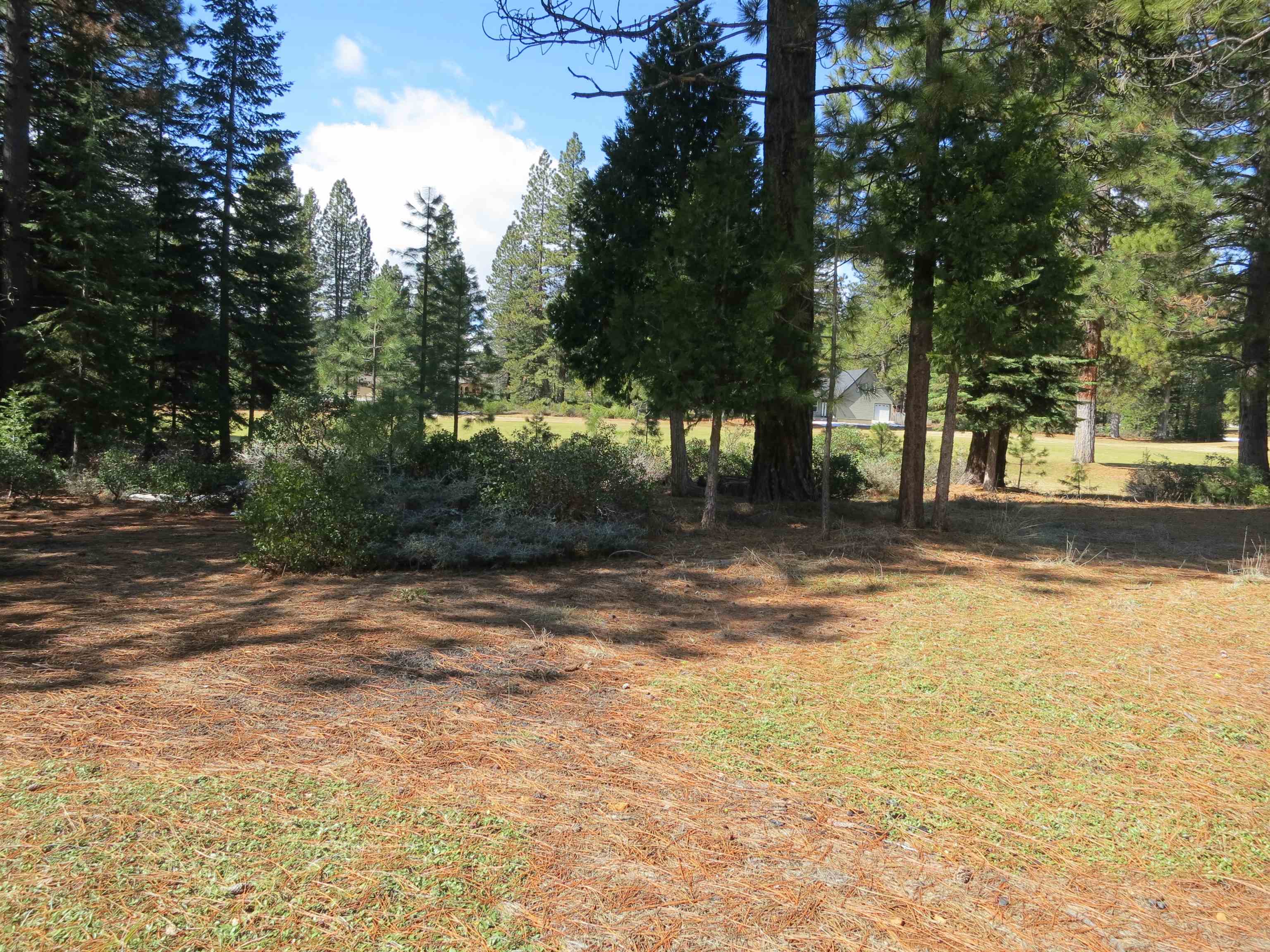 533 Dinsmore Drive, Lake Almanor, California image 1