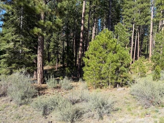 691 Redtail Loop, Clio, New Mexico image 1