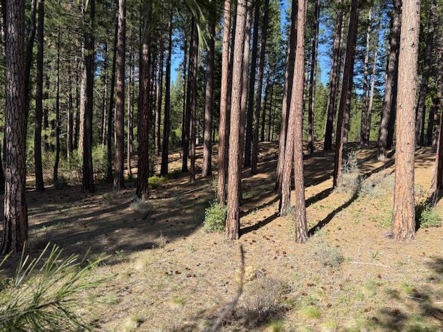 691 Redtail Loop, Clio, New Mexico image 2