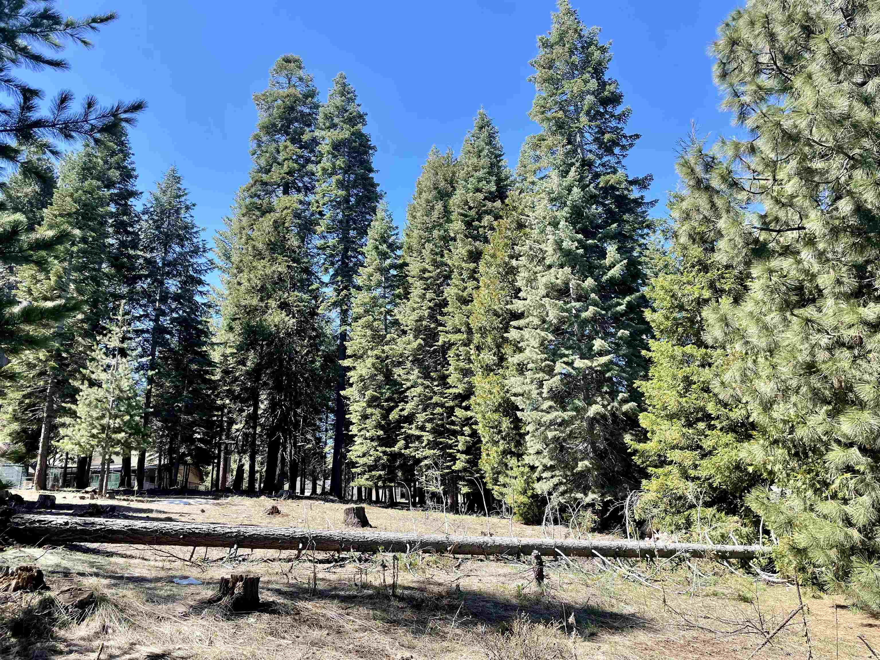 1105 Fairway Pines Road, Lake Almanor, California image 2