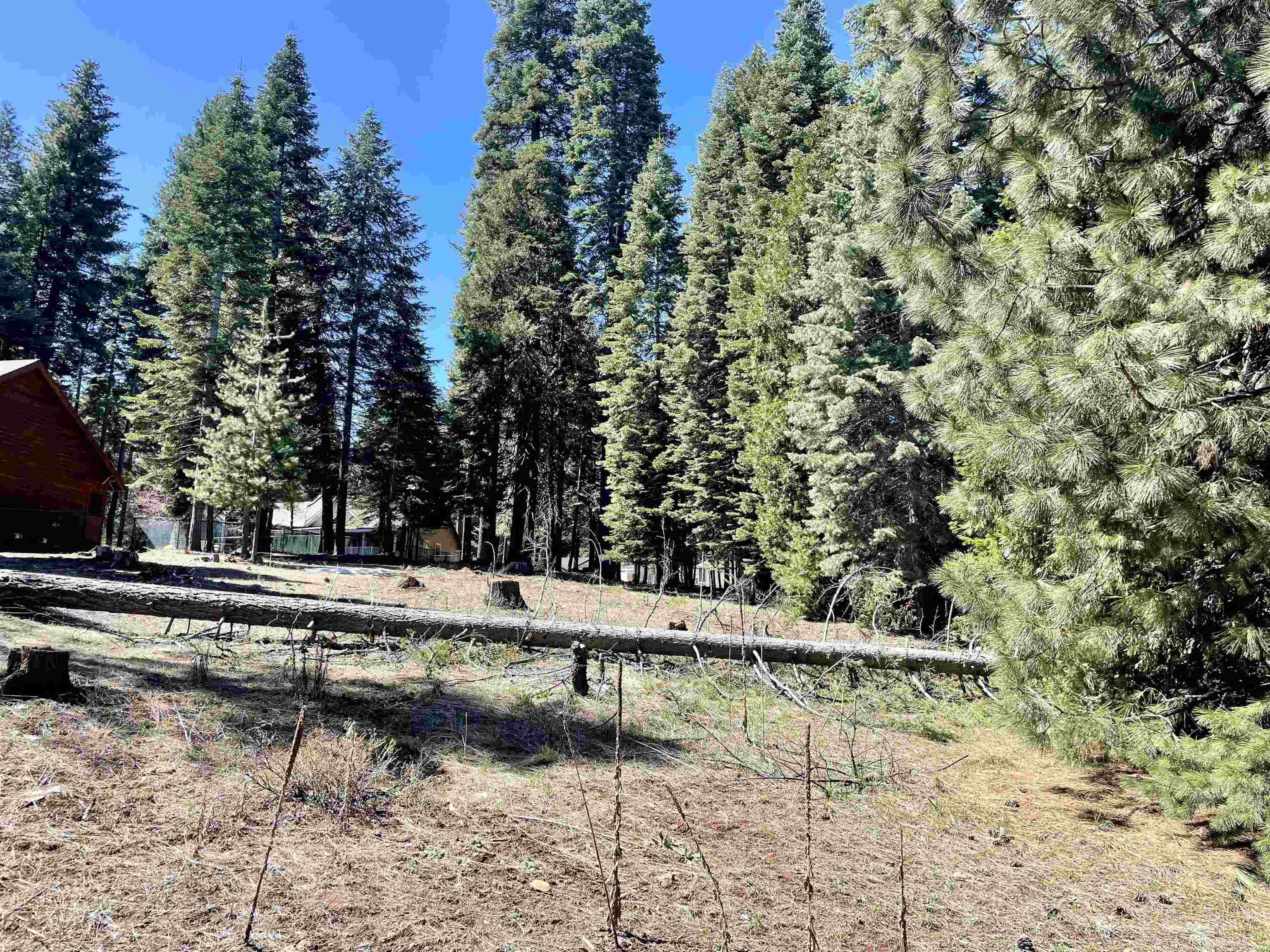 1105 Fairway Pines Road, Lake Almanor, California image 3