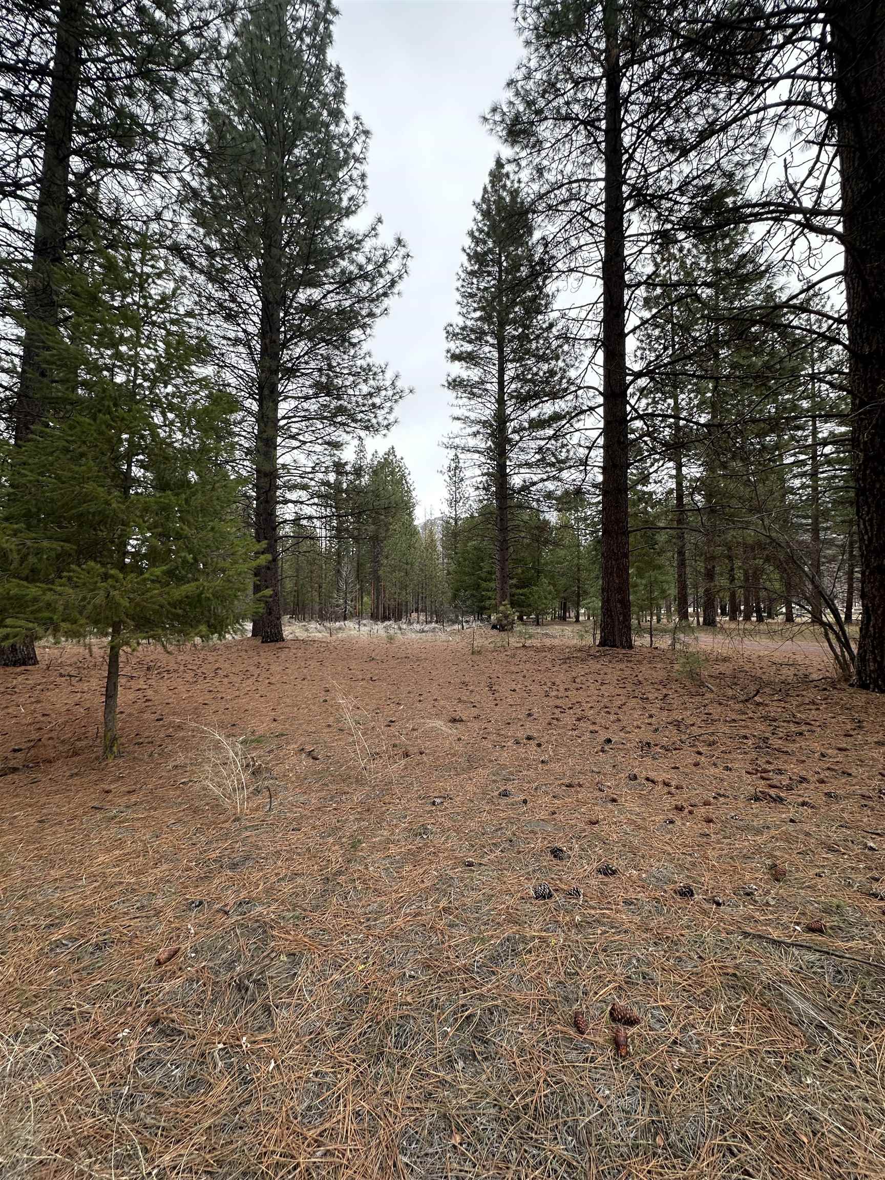 218 Back Acres Court, Taylorsville, California image 6