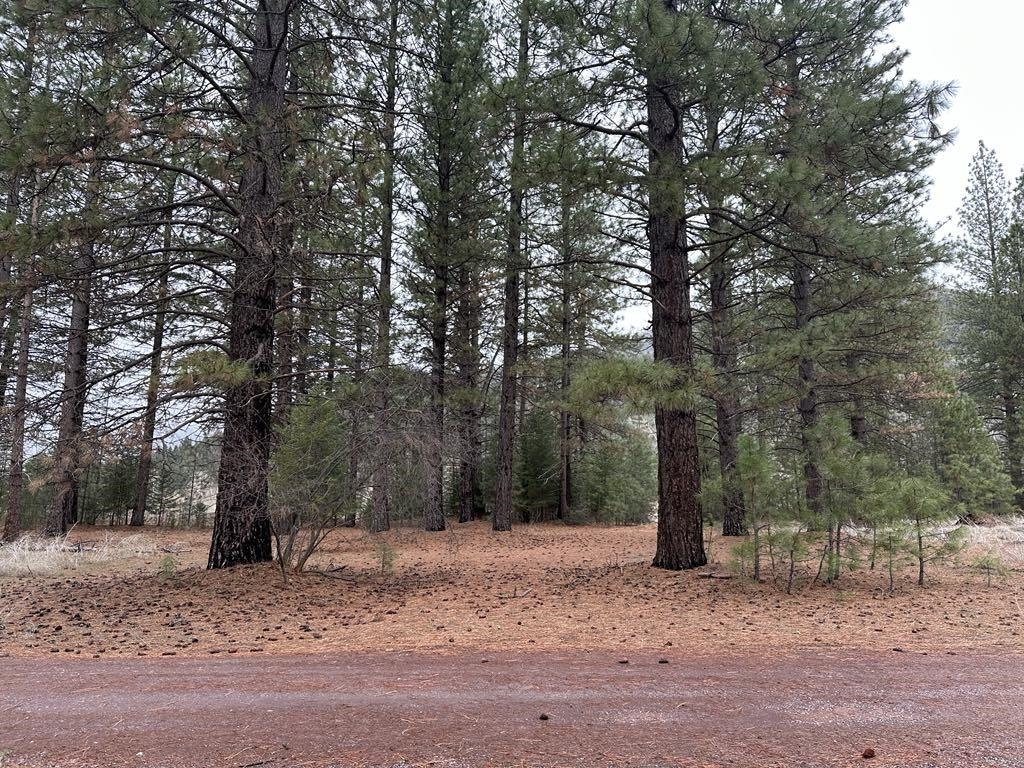 218 Back Acres Court, Taylorsville, California image 4