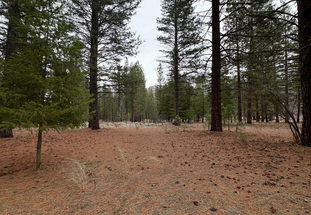 218 Back Acres Court, Taylorsville, California image 5