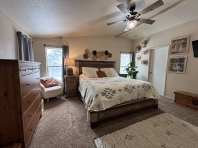 102 Sage Flat Vista, Chilcoot, California image 17