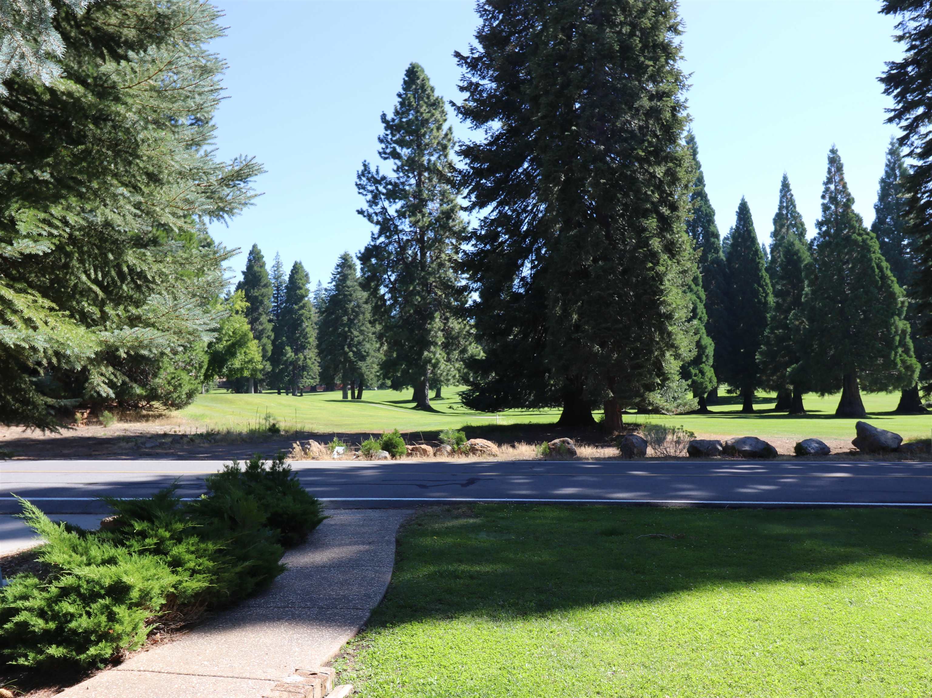 903 S Lassen View Drive, Lake Almanor, New Mexico image 3