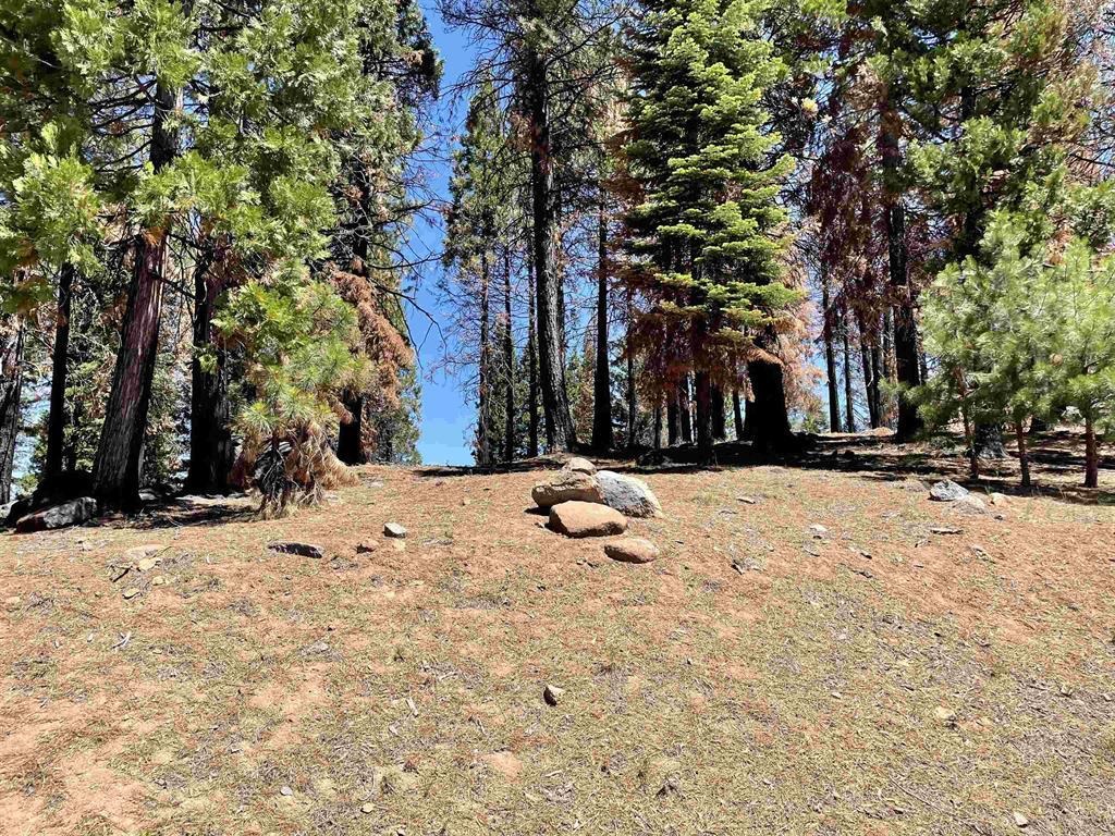 513 Eagle Crest Drive, Lake Almanor West, New Mexico image 4