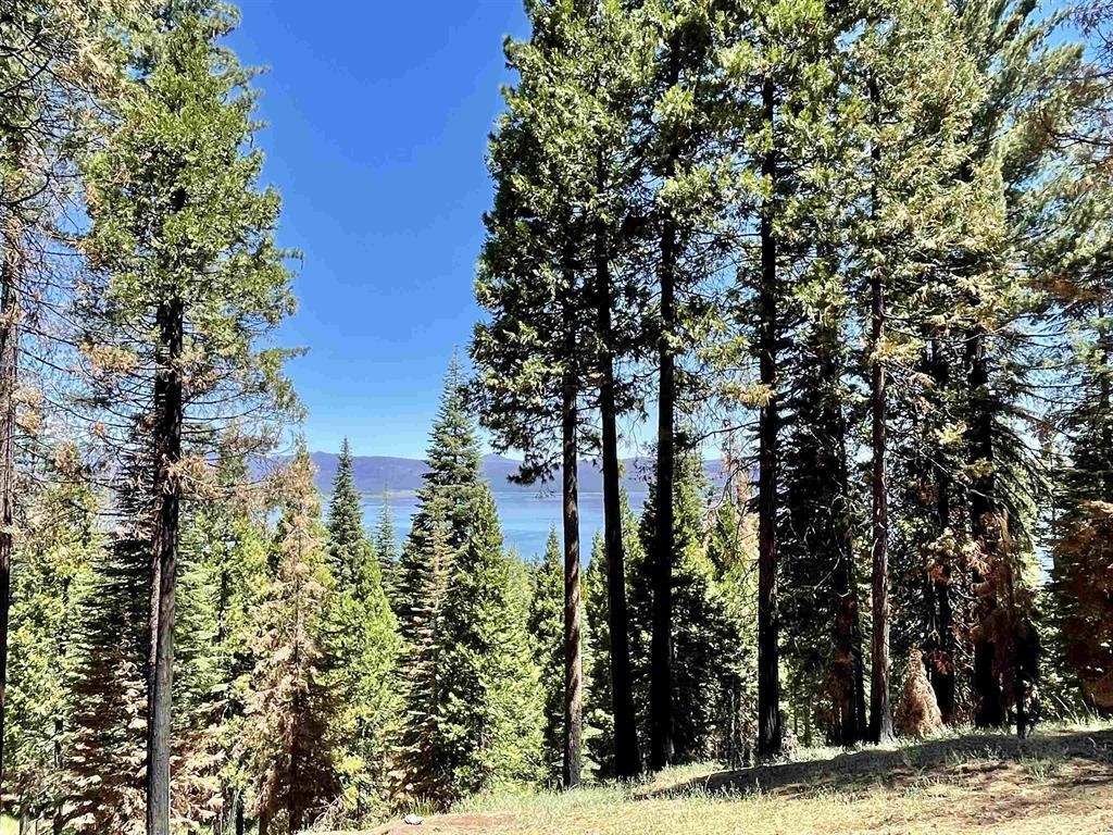 513 Eagle Crest Drive, Lake Almanor West, New Mexico image 3