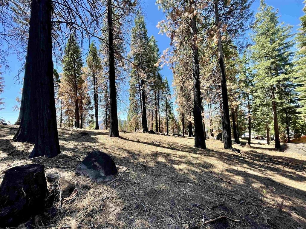 513 Eagle Crest Drive, Lake Almanor West, New Mexico image 5
