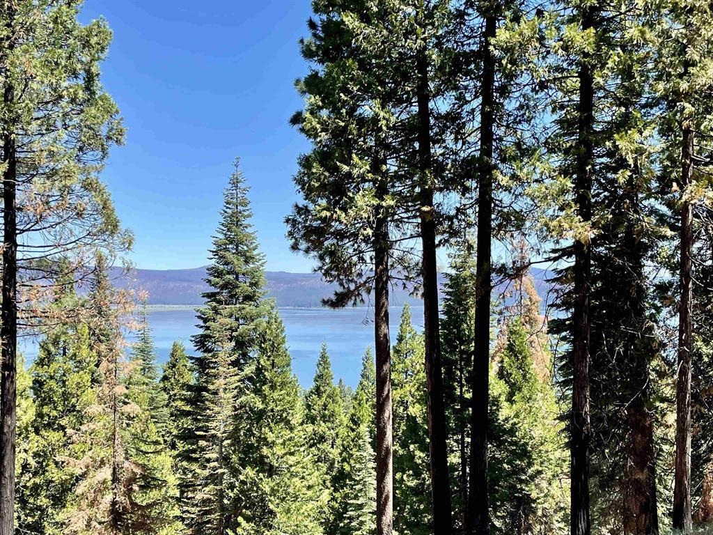 513 Eagle Crest Drive, Lake Almanor West, New Mexico image 2