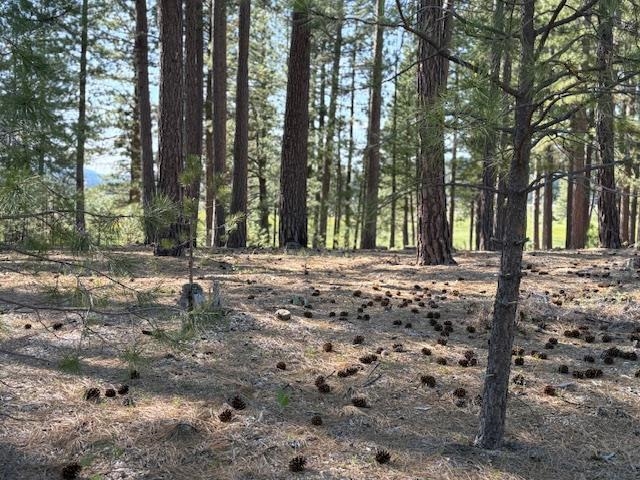 581 Redtail Loop, Clio, New Mexico image 11