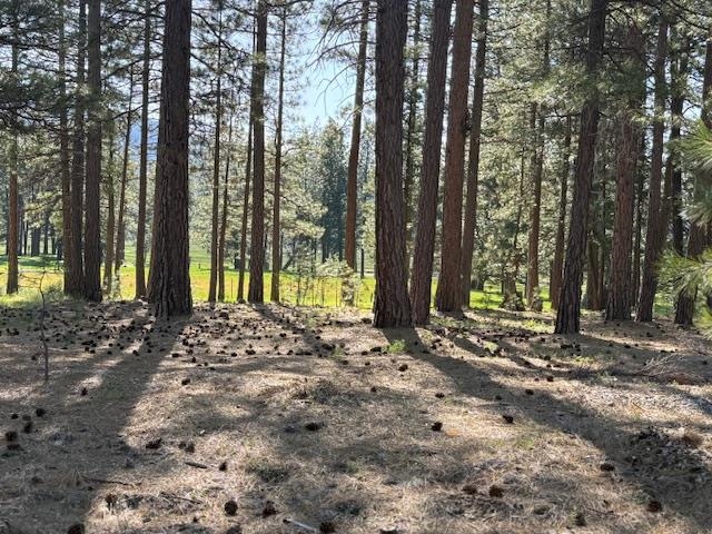 581 Redtail Loop, Clio, New Mexico image 4