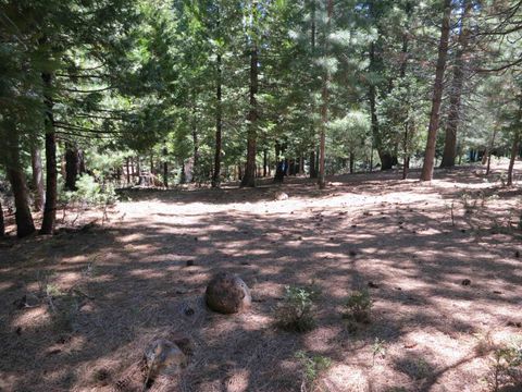 Vacant Land For Sale - 1016 Timber Ridge Road Rd<br/> Plumas County, Lake Almanor, CA 96137
