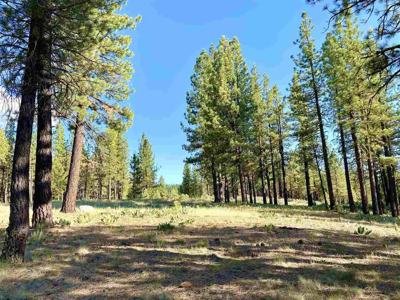 502 Deer Trail, Clio, California image 4