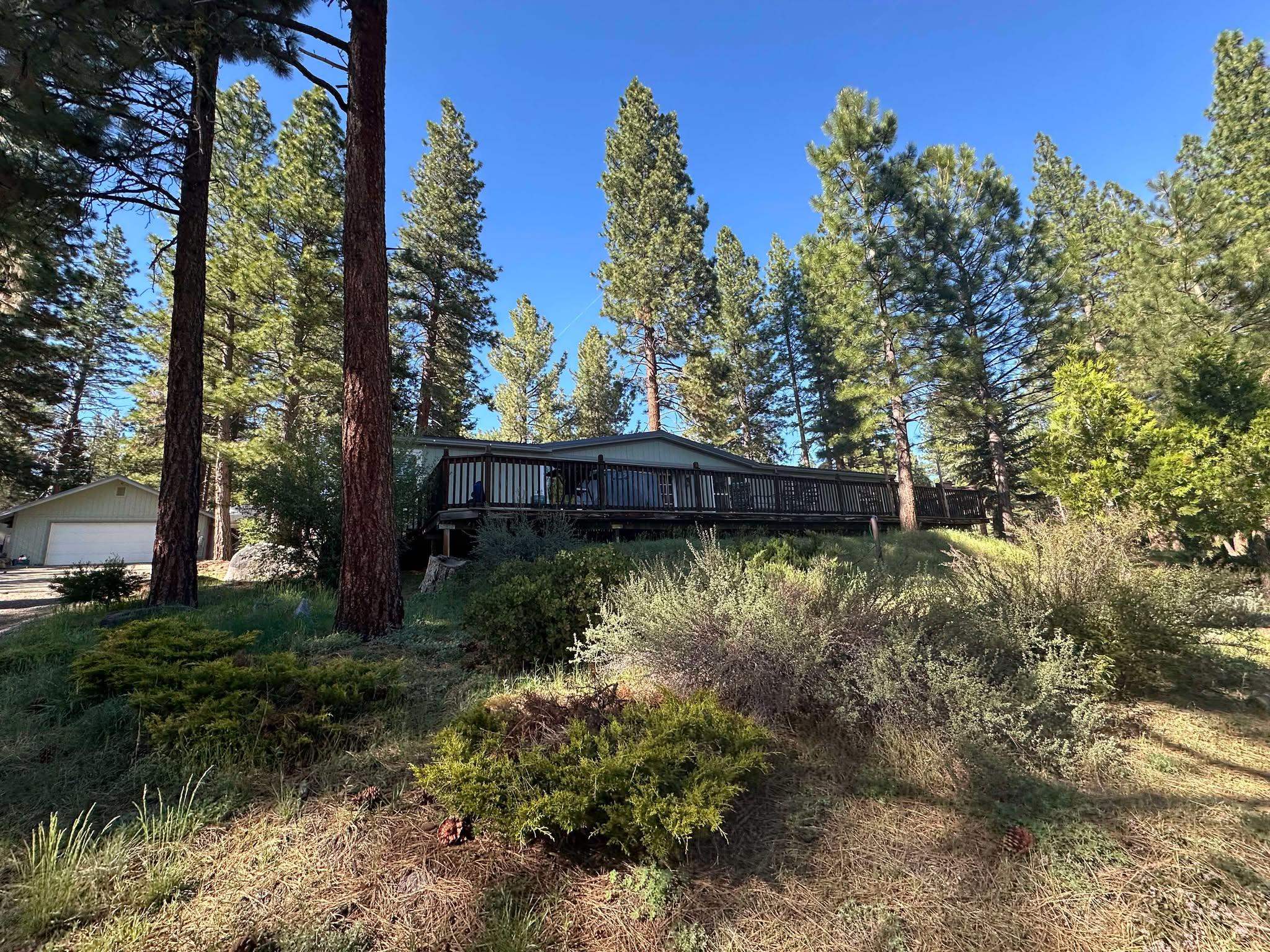 1145 Cherry Circle, Portola, New Mexico image 43