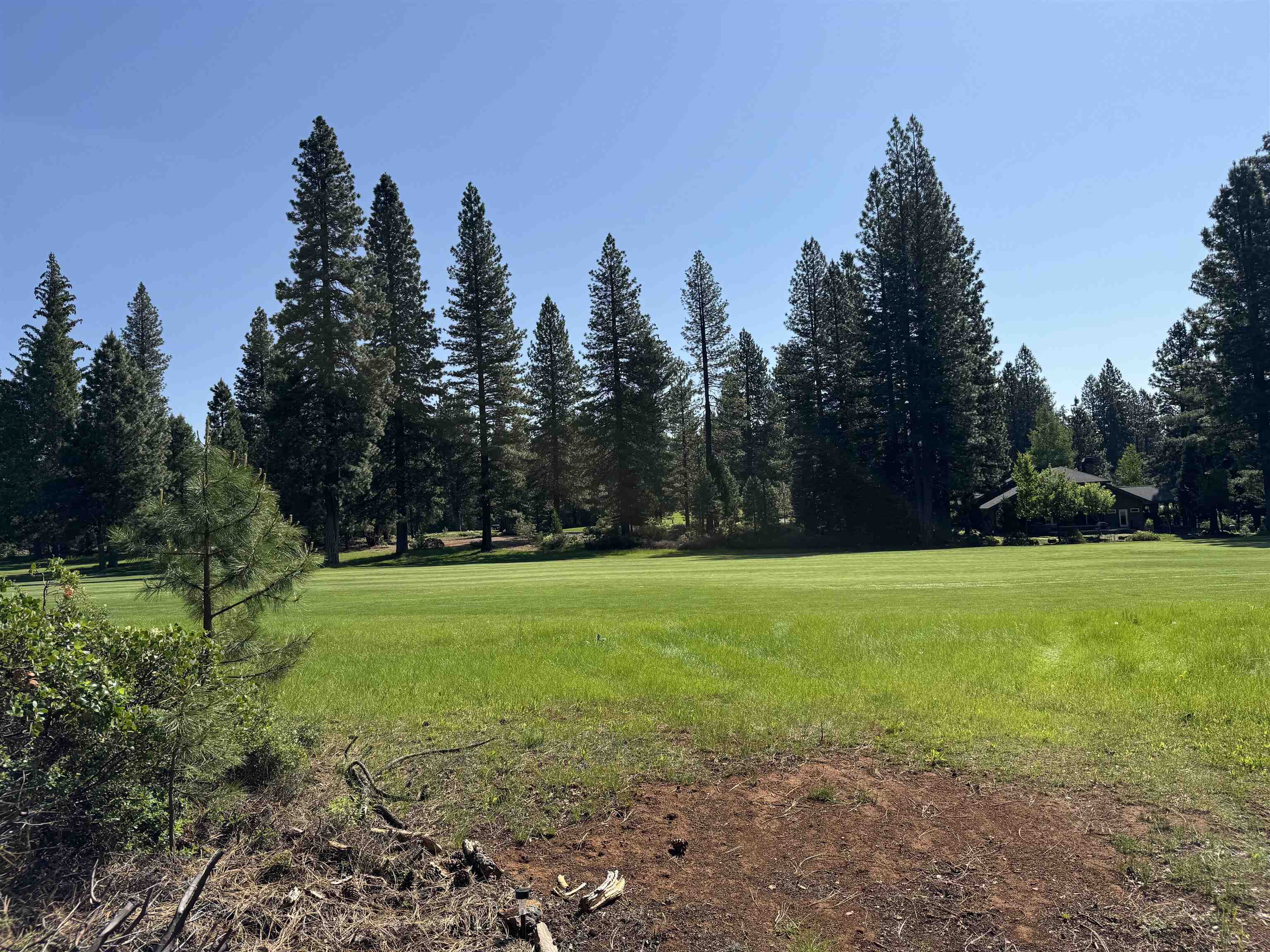69 Frostwood Lane, Lake Almanor, Texas image 2