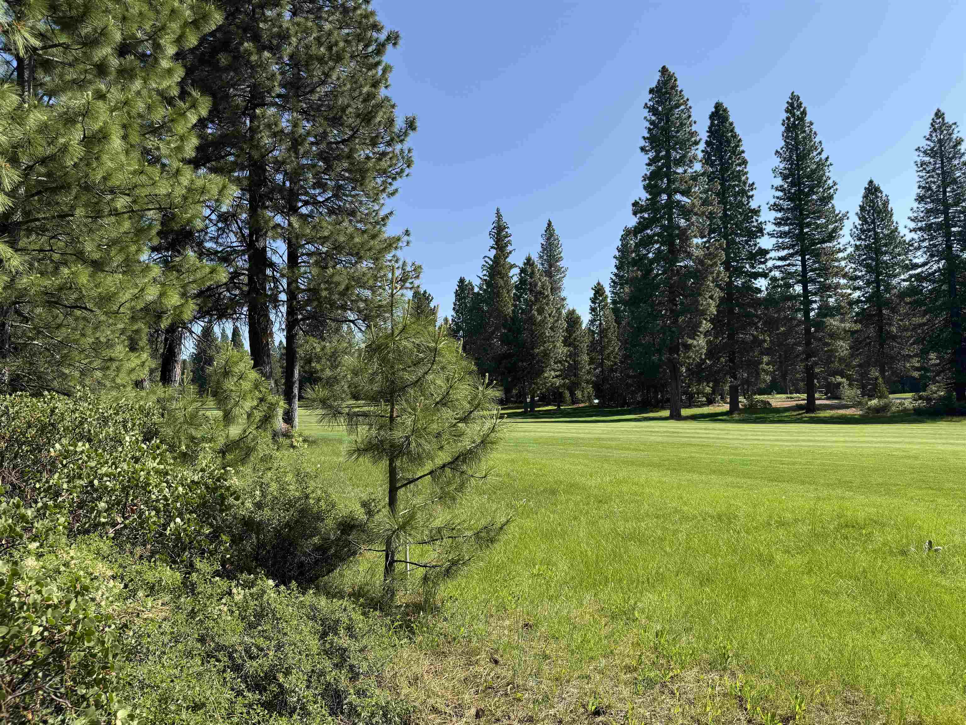 69 Frostwood Lane, Lake Almanor, Texas image 3