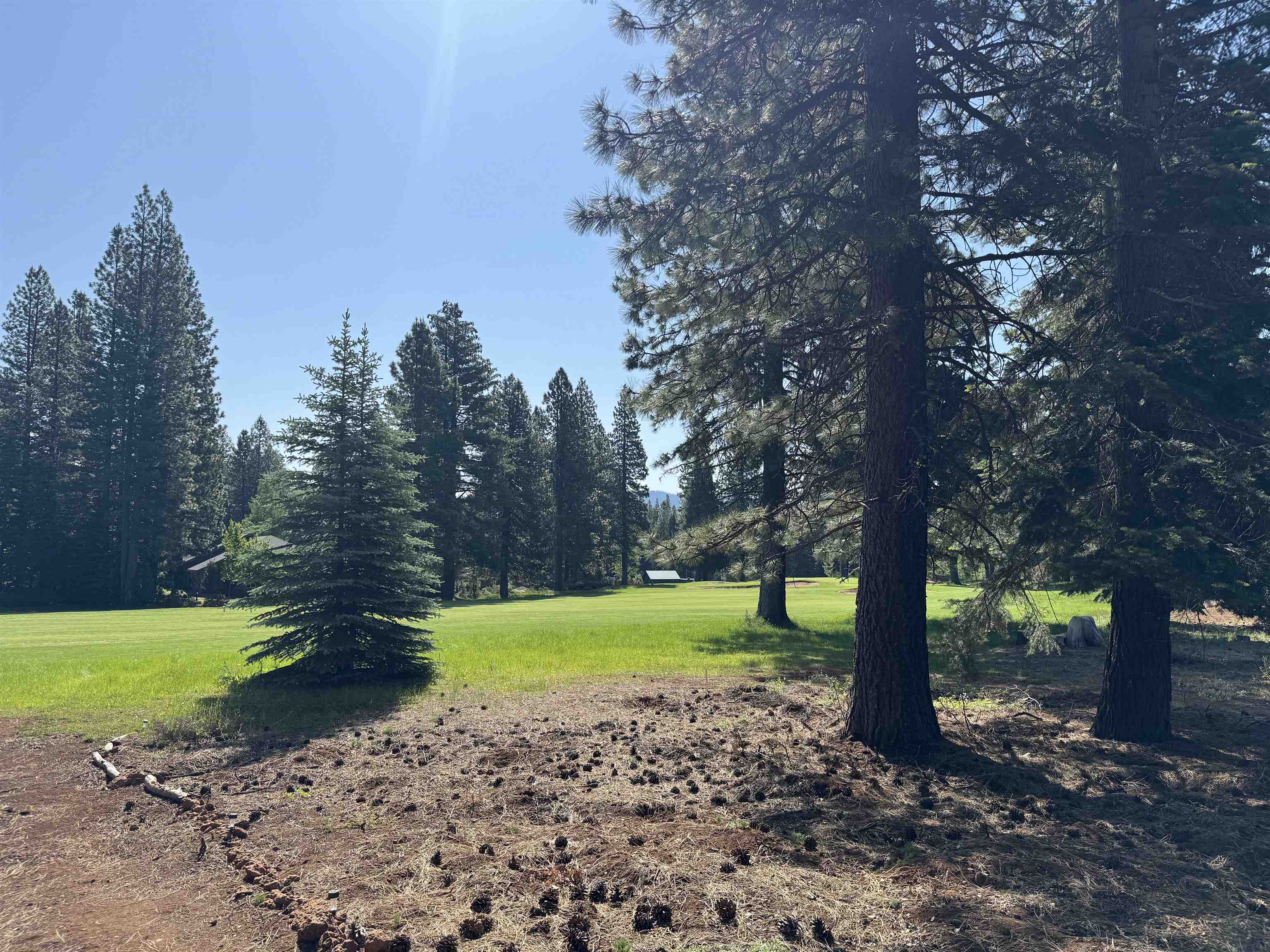 69 Frostwood Lane, Lake Almanor, Texas image 1
