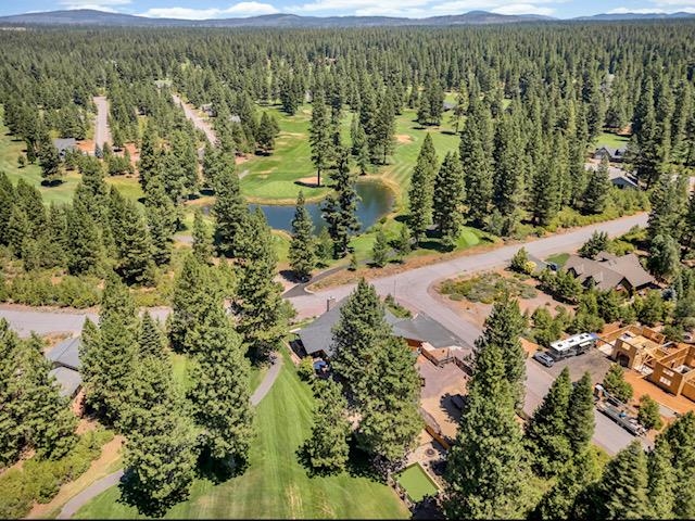 492 Bailey Creek Drive, Lake Almanor, Texas image 43