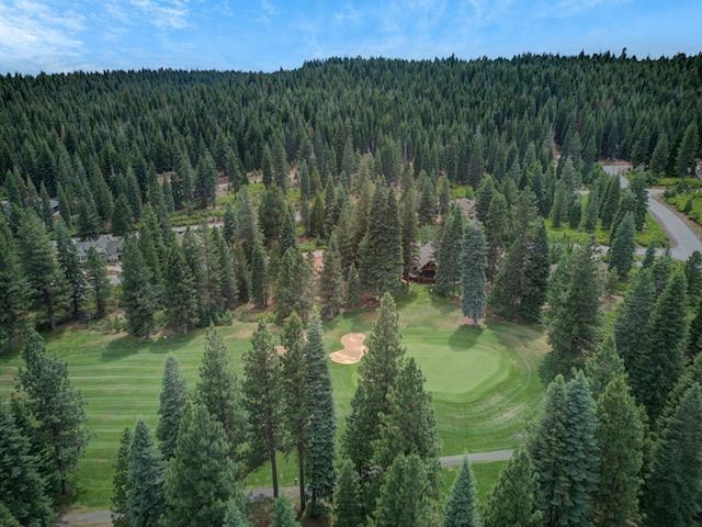492 Bailey Creek Drive, Lake Almanor, Texas image 40