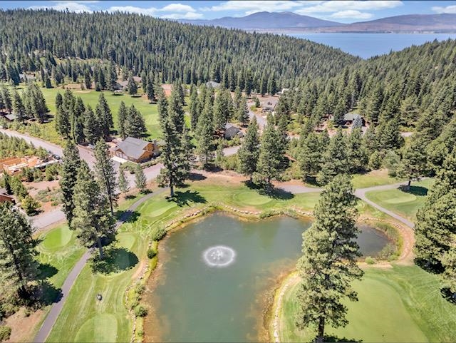492 Bailey Creek Drive, Lake Almanor, Texas image 42