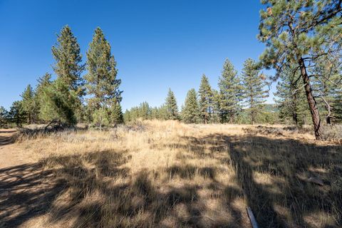 Vacant Land For Sale - 202 Otter Way Way<br/> Plumas County, Portola, CA 96122
