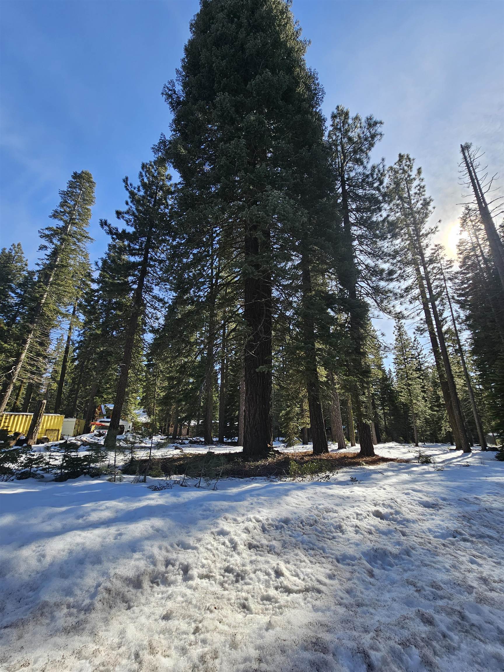 Clear Creek, California 96137, United States, ,Commercial,Active,609