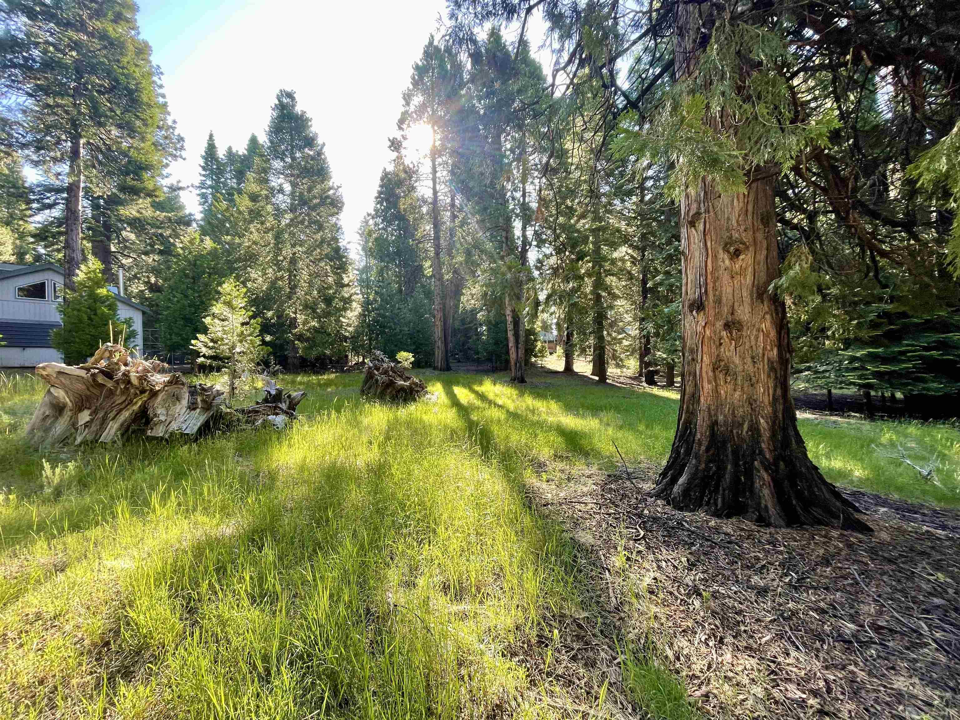 720 Clifford Drive, Lake Almanor, Texas image 3