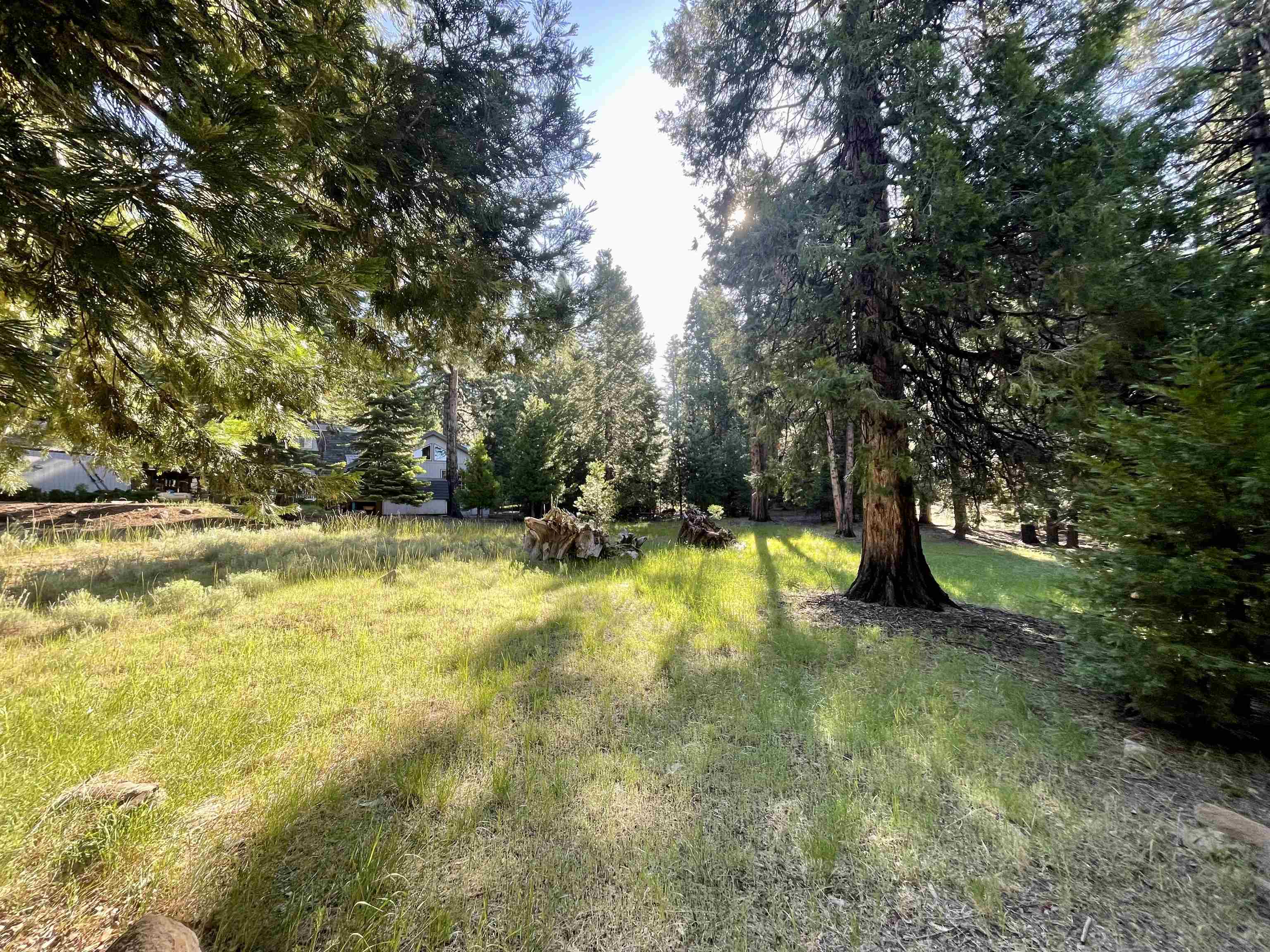 720 Clifford Drive, Lake Almanor, Texas image 4