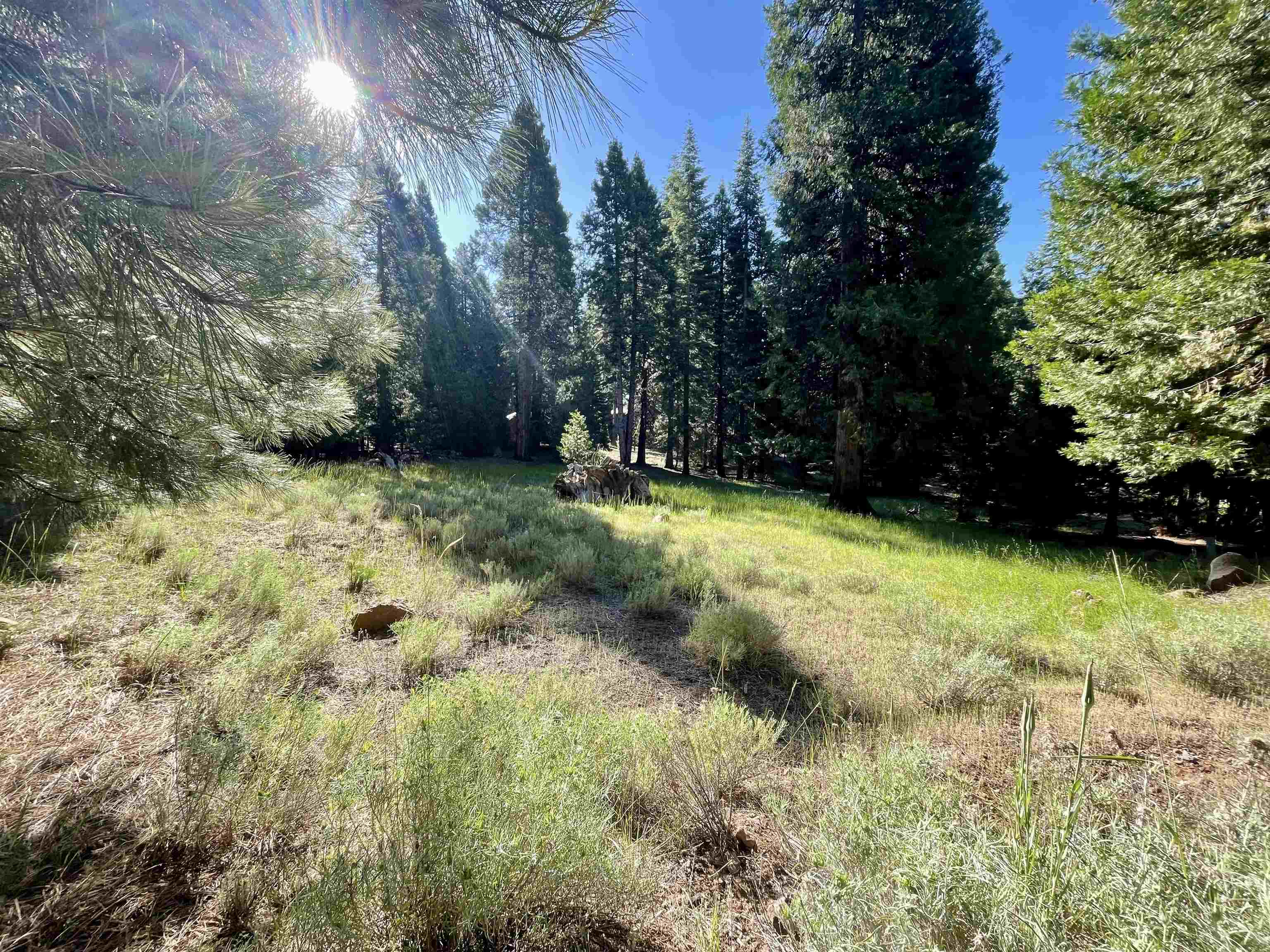 720 Clifford Drive, Lake Almanor, Texas image 1
