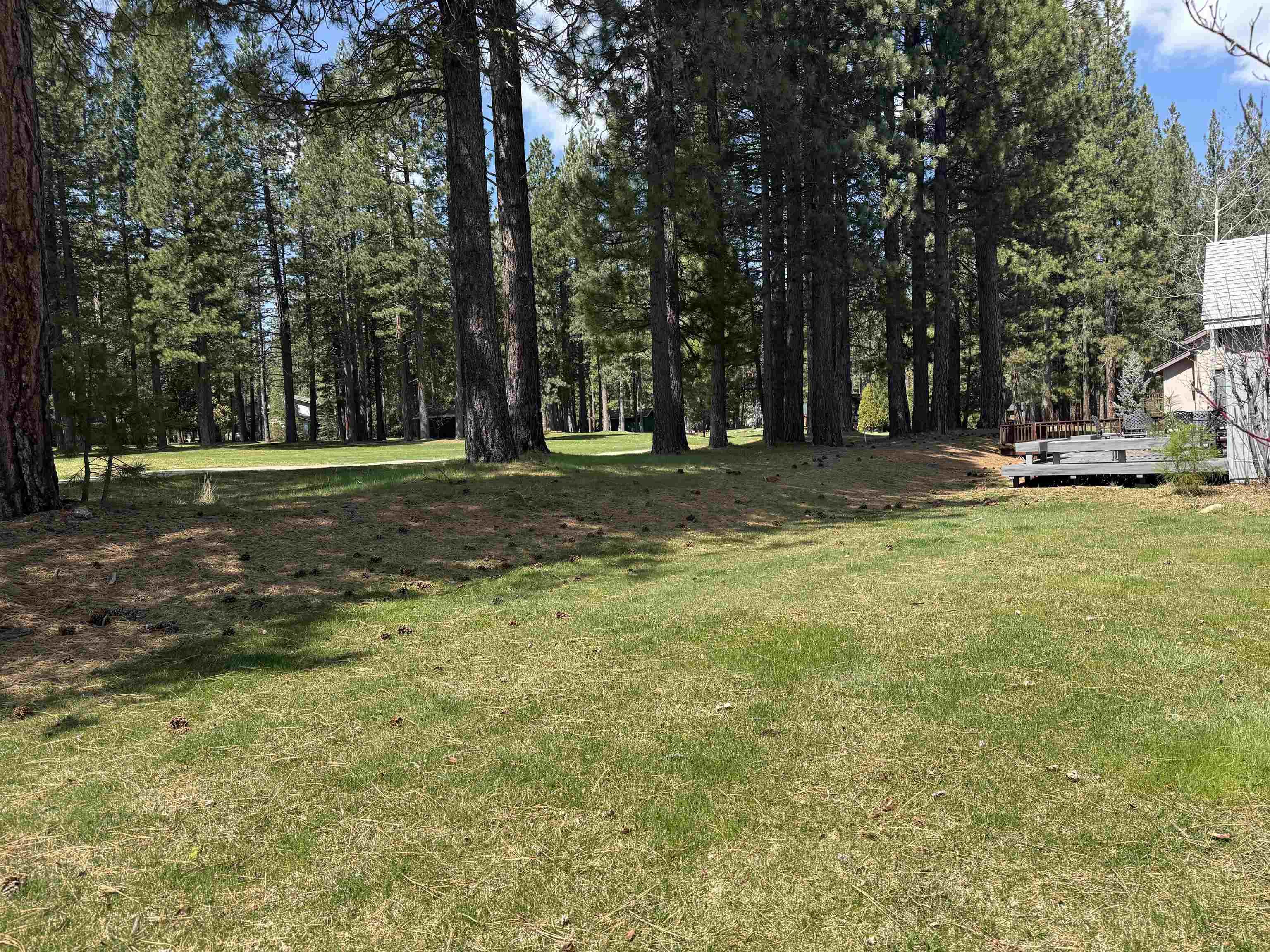 127 Cottonwood Drive, Blairsden, New Mexico image 3