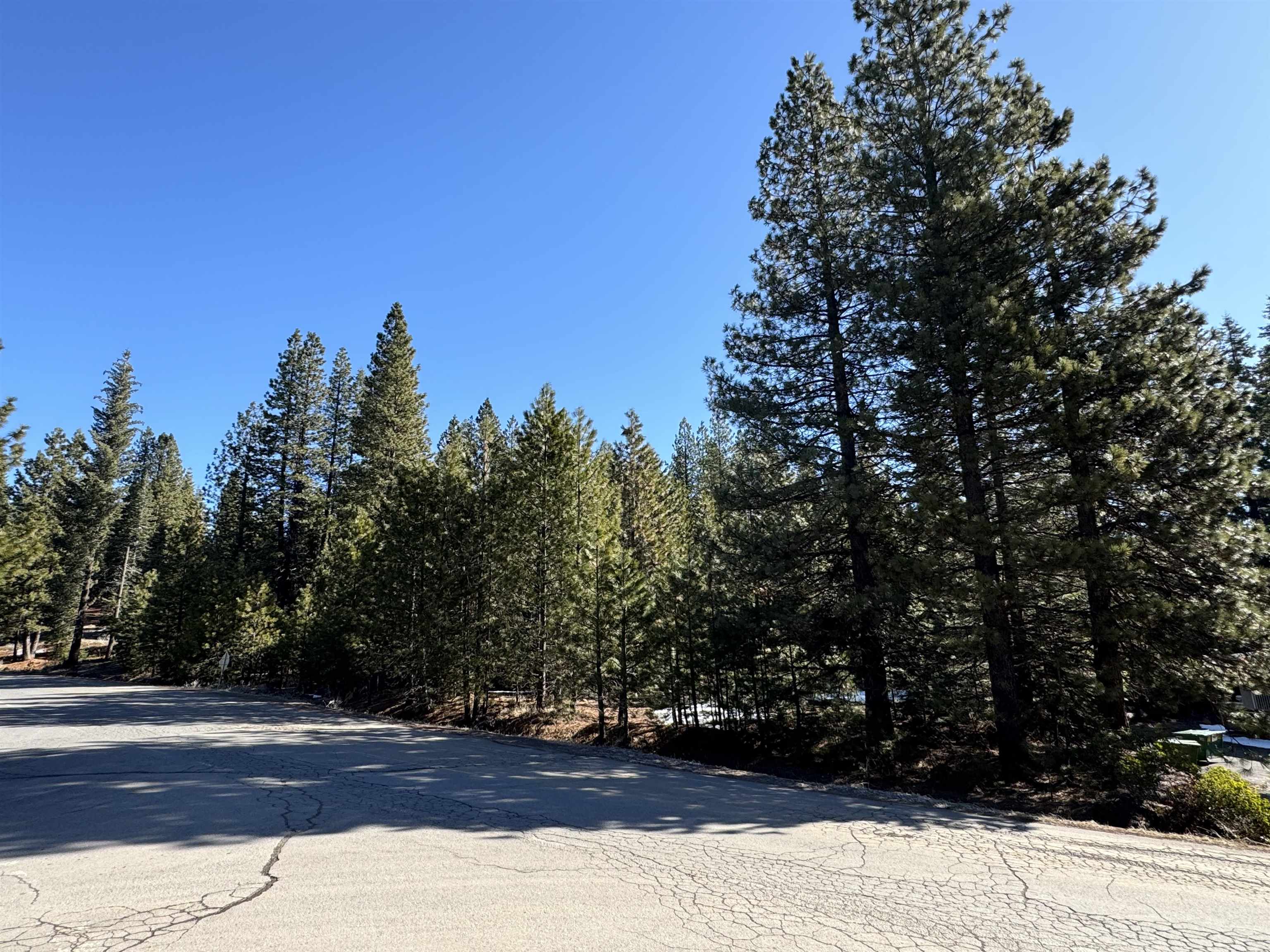 343 W Peninsula Drive #108, Lake Almanor, Texas image 8