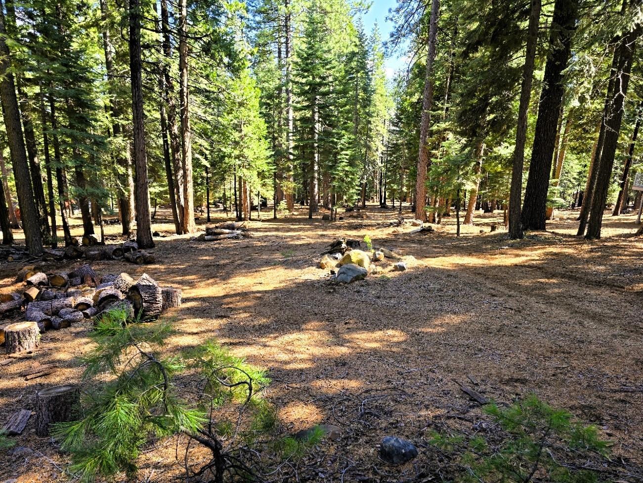 614 E Burnt Cedar Road, Lake Almanor, Texas image 2