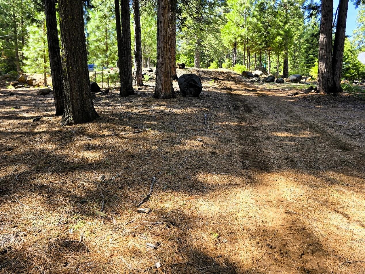 614 E Burnt Cedar Road, Lake Almanor, Texas image 4