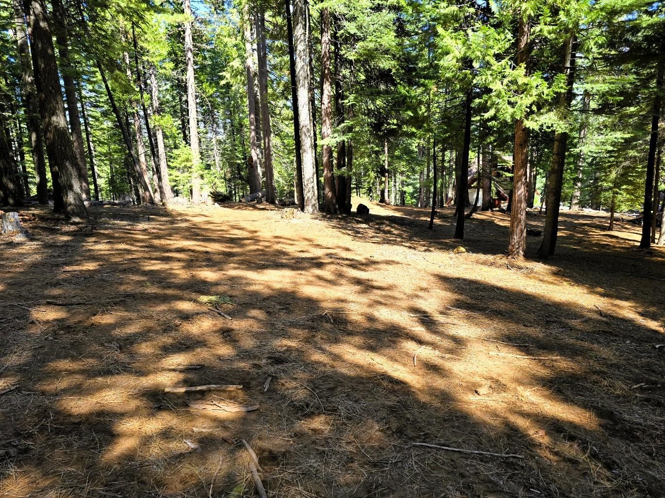 614 E Burnt Cedar Road, Lake Almanor, Texas image 3