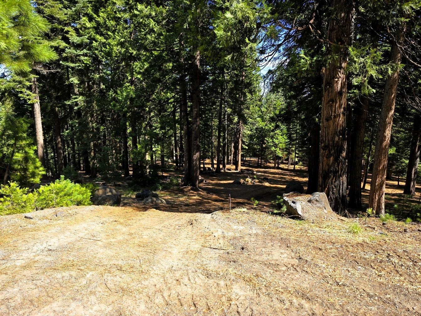 614 E Burnt Cedar Road, Lake Almanor, Texas image 1
