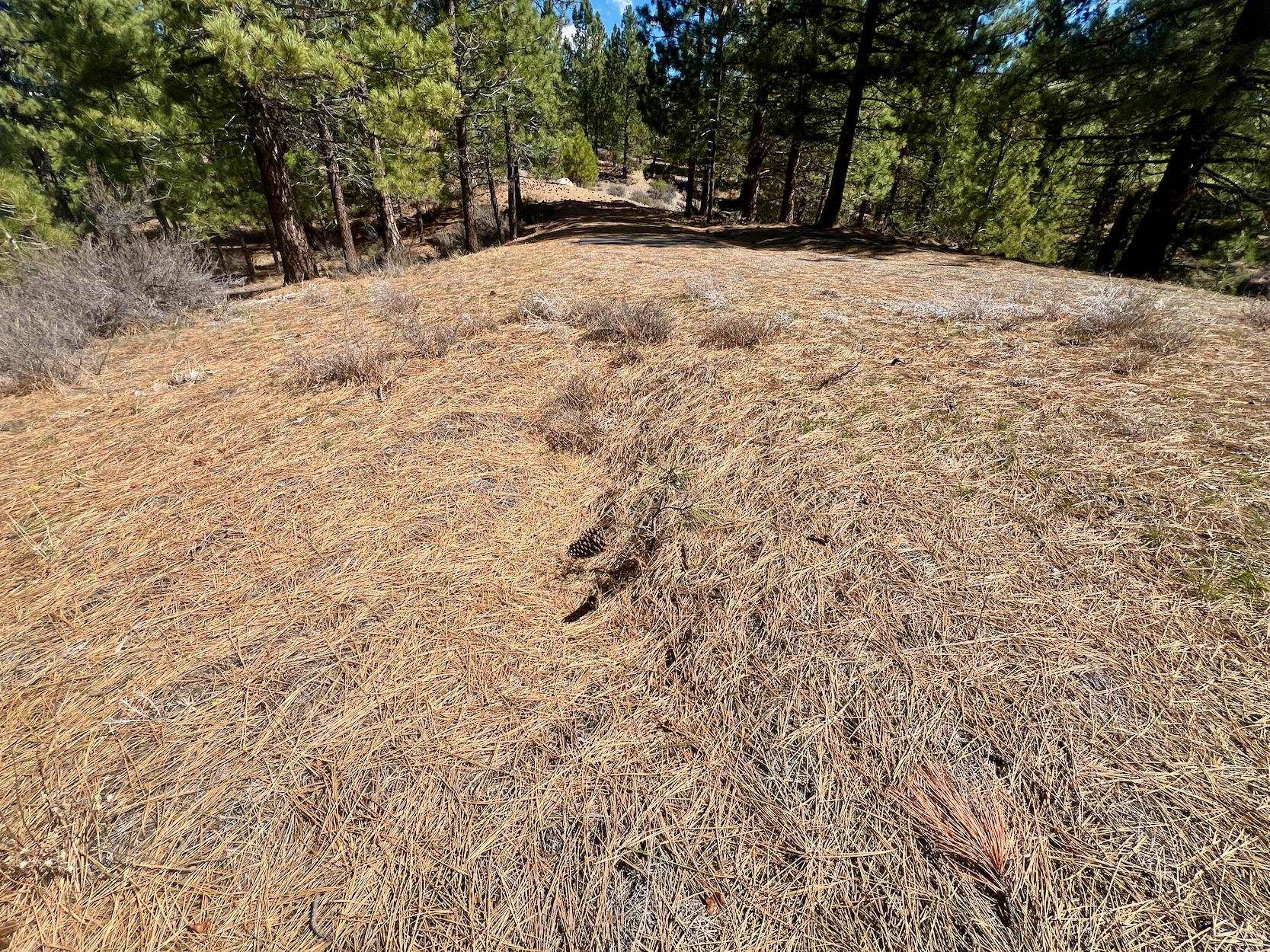 294 Windsong Avenue, Portola, New Mexico image 19