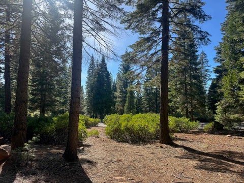 Vacant Land For Sale - 67 Foxhollow Drive Dr<br/> Lake Almanor, CA 96020
