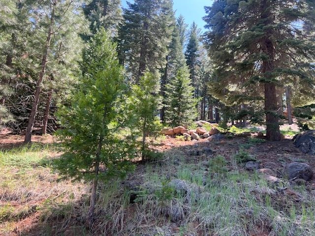 172 Slim Drive, Lake Almanor, Ohio image 3