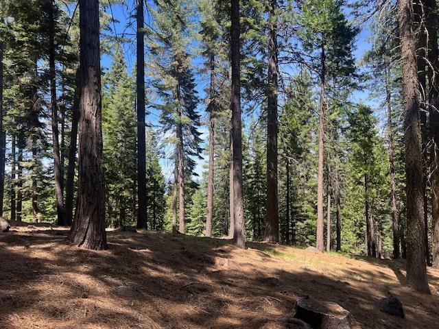 172 Slim Drive, Lake Almanor, Ohio image 1