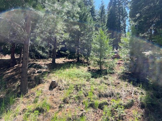 172 Slim Drive, Lake Almanor, Ohio image 4